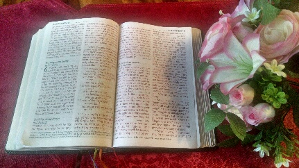 My open Bible with a spray of roses and lilies is to express loving encouragement from God's Word for Diet No More STEP THREE: Perfect Planning